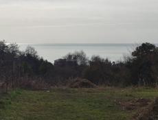 Новый Афон 50сот. срочно!