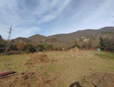 Новый Афон 50сот. срочно!