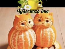 Срочно ищу работу  