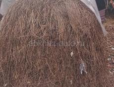 Продам сено в Дурипшах