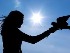 Меняю однокомнатную квартиру в городе Сухум на квартиру в Агудзере 