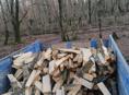 Продаётся дров принимаем  заказы любой