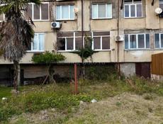 Гудаута квартира 