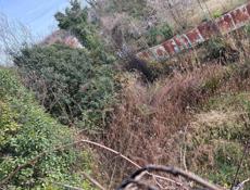 Продаётся дом в колхиде