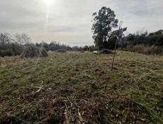 Афон 50сот. 8мил. срочно!