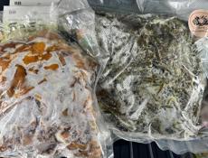 Колючка (Апырчпан) замороженная