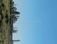 9 сотых на берегу !