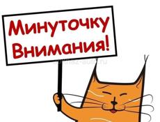 Срочно ищу работу! 