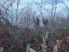 Продажа участка