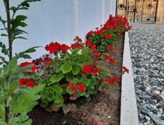 Продам гостиницу в с. Алахадзы