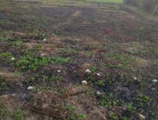 Продам 20 сот. Земли в с. Приморское