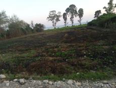 Продам 20 сот. Земли в с. Приморское