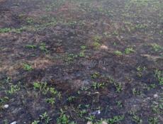 Продам 20 сот. Земли в с. Приморское