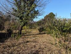 20 соток срочно 