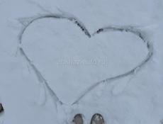 Сдается квартира 