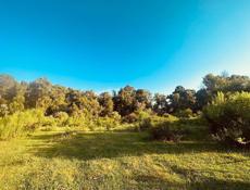 Бабушара 6соток 500