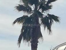 Продается дом рынок