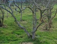 Срочно продам участок по хорошей цене