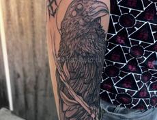 Тату до 26 января 