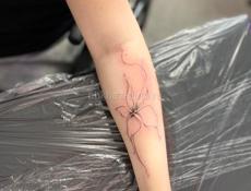 Тату до 26 января 