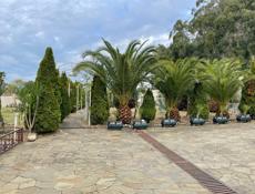 Сдается на год 2 эт.дом ,Мачара