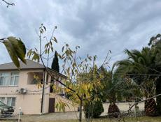 Сдается на год 2 эт.дом ,Мачара