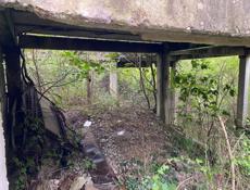 Срочно колхида 