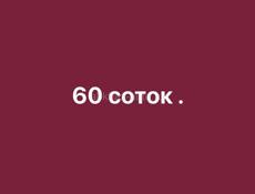 60 соток участок 
