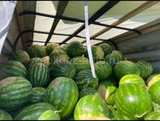 Семена арбуза 