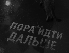 Строительная компания