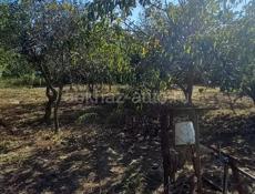 Продаётся  участок 12 сот  Алахадзы