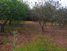 Продаётся  участок 12 сот  Алахадзы