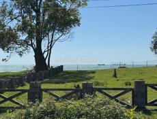 3 комнатная квартира 