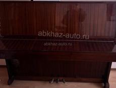 Отдам бесплатно 