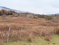 С.Псырцха 80 соток 5🍋 рассрочка 