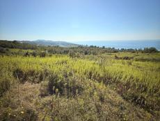 С.Псырцха 80 соток 5🍋 рассрочка 