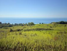 С.Псырцха 80 соток 5🍋 рассрочка 