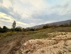 С.Псырцха 40 соток 4🍋