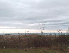 Участок багмаран Берег 