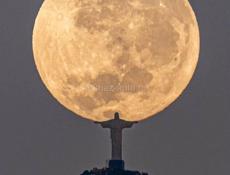 Железа самовывоз договориться по телефону