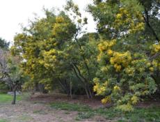 Продам участок !