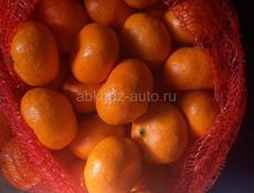 Мандарины оптом