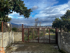 Участок срочно / возможно рассрочка 