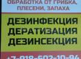 Уничтожение насекомых, грызунов, плесени