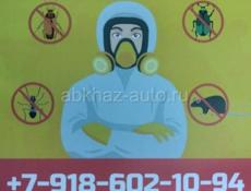 Уничтожение насекомых, грызунов, плесени