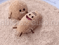 Продам попугая с клеткой и кормам 