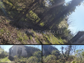 Продаю в центре Дранды ,земельный участок 30 соток ! Собственности! 