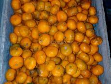 Продаются мандарины 
