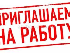 Требуется бухгалтер-товаровед на круглый год!