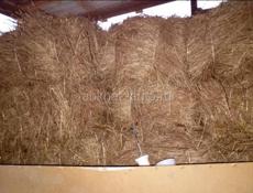 Продаётся цено